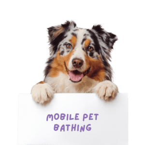 A picture of an Australian shepherd dog holding a sign that says mobile pet bathing